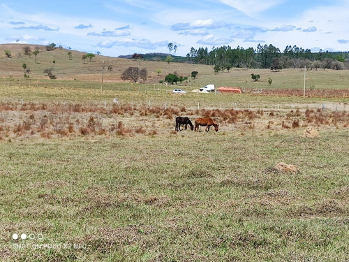 Imagem 2 de 9 de Chácara 2 Alqueires, Fácil Acesso, 3 Km Do Centro De Angatuba, Pasto - Ch00143 - 70038800