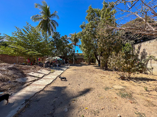 Lote Ciruela