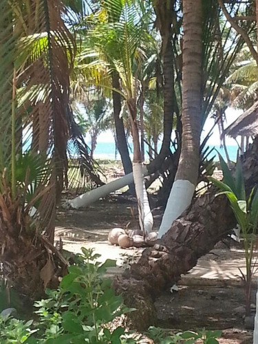 Imagen 2 de 18 de En Venta Terreno Comercial En Solidaridad Quintana Roo