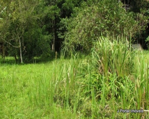 Imagem 4 de 8 de Terreno - 99 - 32939102