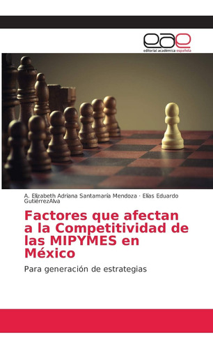 Libro: Factores Que Afectan A La Competitividad De Las Mipym