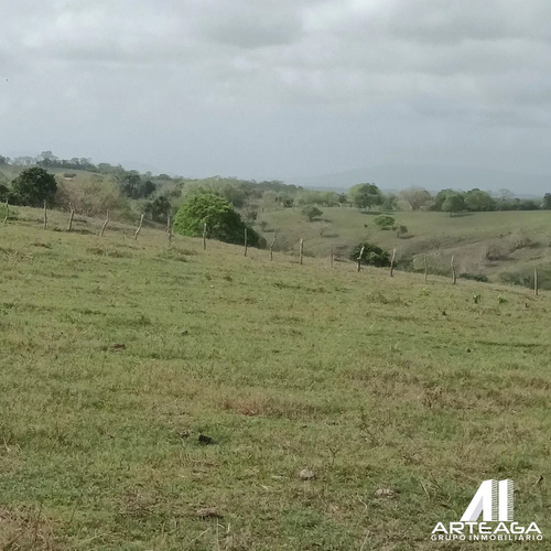 Vendo Hermosa Finca En Yaracal Sector El Mene Edo. Falcon 