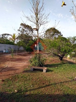 Imagem 2 de 4 de Rural - Ref: 02892