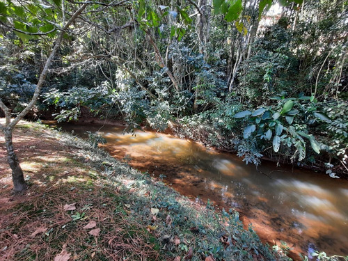 Imagem 17 de 30 de Sítio Em São Lourenço Rico Em Agua