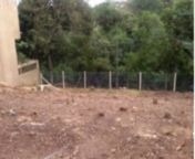 Imagem 3 de 4 de Terreno - Tristeza - Ref: 363004 - V-mi15283