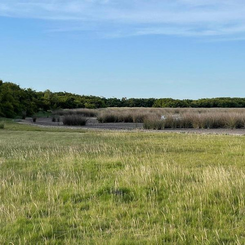 Imagen 13 de 14 de Campo Zona Laguna Los Horcones