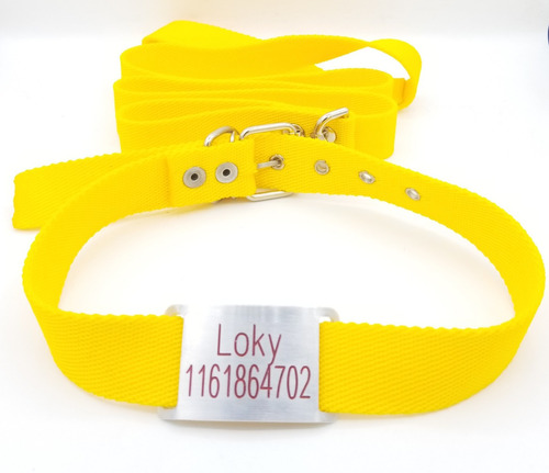 Combo Chapita Pasador 3cm + Collar Y Correa Amarillo