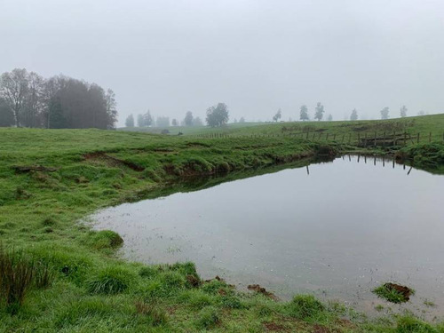 Parcela A 18 Minutos De Osorno Con Agua Y Luz - Chahuilco