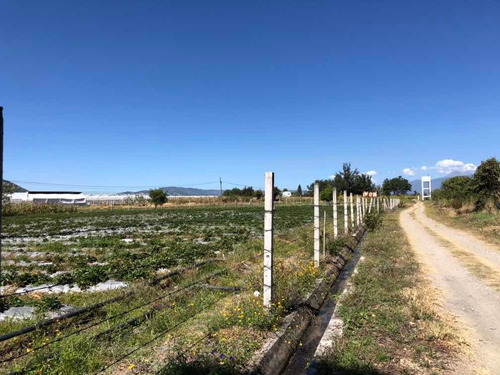 Imagen 14 de 14 de Terreno Carretera Tenancingo - Zumpahuacan Km 15