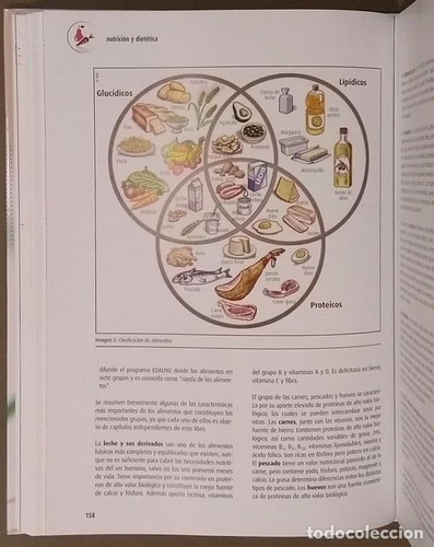 Manual Completo De Nutrición Y Dietética, De Martín, Carmen / Díaz, Joaquina. Editorial Barcel Baires En Español