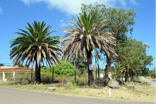 Terrenos Venta Maldonado Piriápolis Punta Fría