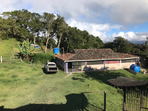 Em. Se Vende Granja Vía Casa Del Padre. Excelente Inversión 