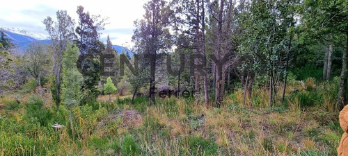 Imagen 11 de 12 de Lote En Venta Bariloche - Villa Lago Gutiérrez Id: 3150