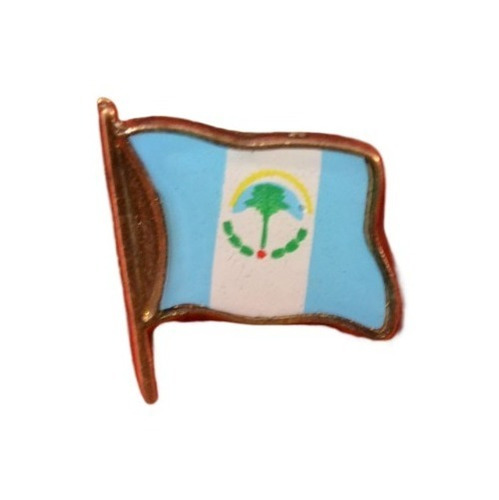 Pin X Unidad Provincia De Neuquén