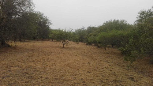 Campo En Venta De 900 Ha En Formosa