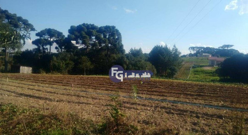 Imagem 15 de 15 de Chácara Com 3 Dormitórios À Venda, 18000 M² Por R$ 1.199.000,00 - Colônia Murici - São José Dos Pinhais/pr - Ch0046