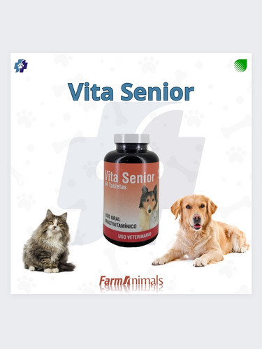 Vita Senior Para Perros Y Gatos 