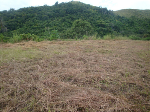 Imagen 8 de 14 de En Venta Terreno En Colinas De Guataparo, Valencia