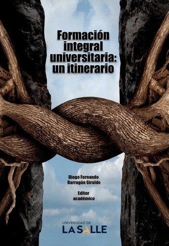 Formacion Integral Universitaria Un Itinerario