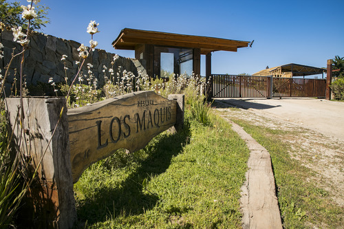 Reserva Natural En Punta De Lobos