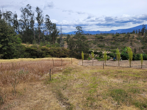 Imagen 5 de 8 de Vendo Terreno De 1000 M2 Y De 2070 M2 En Tababela (precio Negociable)