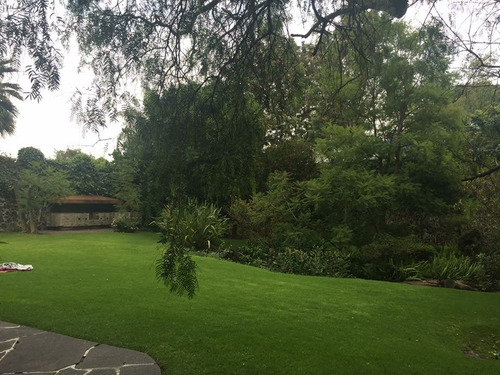 Imagen 11 de 14 de Casa En Un Solo Nivel Rodeada De Jardín Para Re Modelar