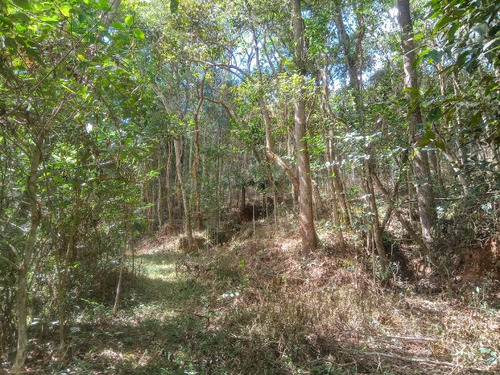 Imagem 7 de 30 de Excelente Terreno Á Venda De 16.500m2 Em Condomínio Rural Clube Juca Vieira C/ Área De 16.500 M², C/ Córrego De Água Cristalina Nos Fundos! - Oci0101 - 69485109