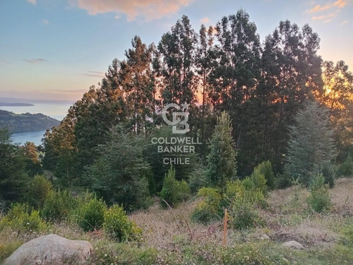 Hermoso Terreno Con Vista Al Lago Ranco