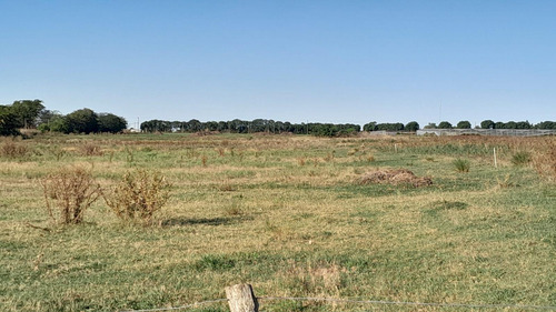 Campo En Venta En 177 Y 35