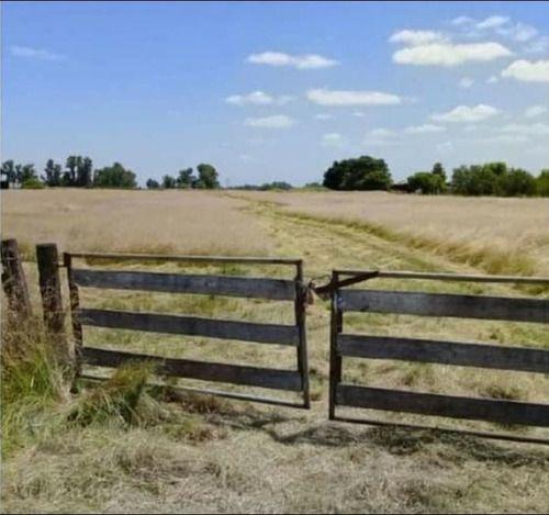 Dos Hectáreas De Campo Florencio Varela