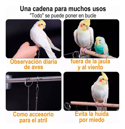 . 6 M Flexible Mascota Loro Pájaro Correa Arnés