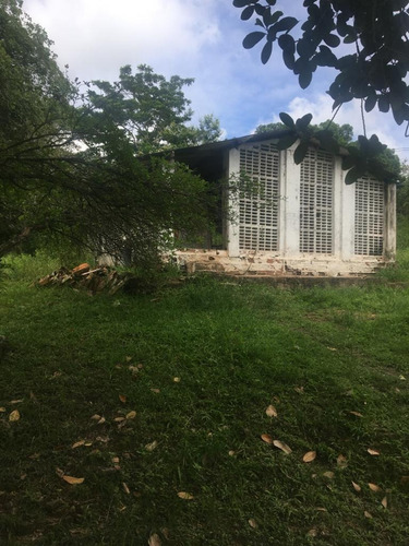 Imagem 9 de 20 de Qualidade De Vida Pra Você, Ótima Granja 06 Hec, Lazer Em Bonança, Aceito Imóvel/carro - Ch00022 - 68991934