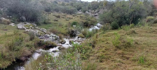 Campo En Carape Son 42 Hs 2293 M2