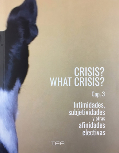 CRISIS? WHAT CRISIS? CAP. 3 INTIMIDADES, SUBJETIVIDADES Y, de Lemes , Moneiba. Editorial Tea Tenerife Espacio de las Artes, tapa blanda en español