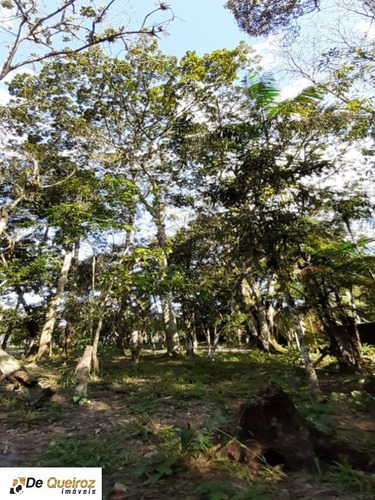 Imagem 4 de 30 de Chácara No Jd. Coronel, Parque Real, Composta De 03 Lotes Com 2.000 M² Cada, Murada, Metragem Total 6.000 M2, Casa Principal: Contruida No Lote 9, Área Construída 220,23m² 03 Dormi - 6143 - 68869065