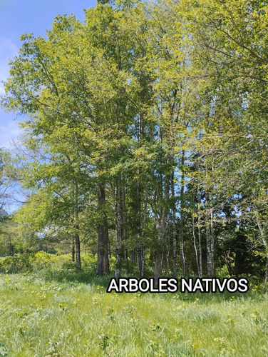 Parcela Con Orilla De Río Sector Catripulli Pucón