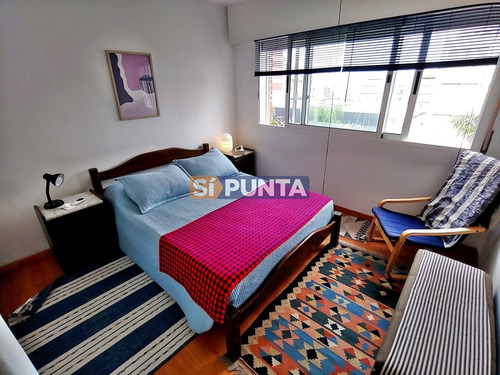 Imagen 5 de 12 de Apartamento En El Corazón De Punta!
