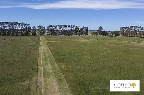 Imagen 18 de 30 de Terreno - Carmen De Areco