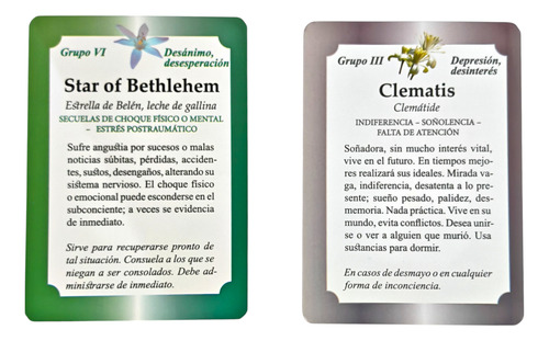 Flores De Bach, Kit 1 Guia Rapida Y 39 Tarjetas A Color