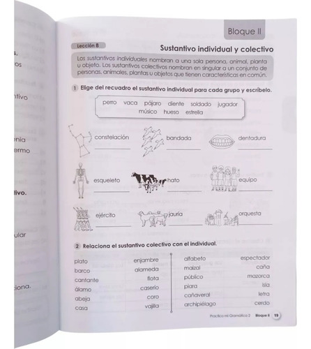 Practico Mi Gramática 2° Cuaderno De Trabajo / Primaria