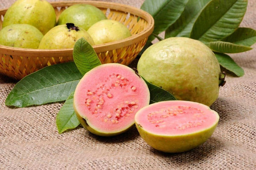 Guayaba Pulpa Rosa C/ Semilla Arbolitofrutal Enano O Normal 