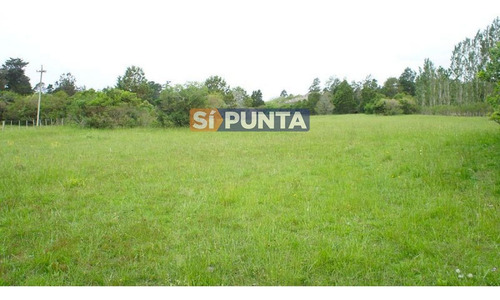 Imagen 7 de 10 de Chacra A La Venta En Laguna Del Sauce