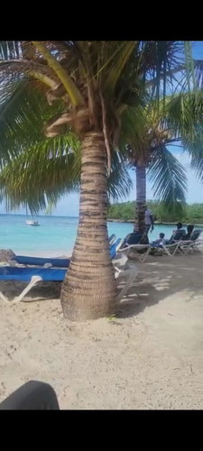 Las Galeras Samana Segunda Linea De Playa  La Playita