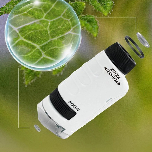 Microscopio Portátil Zoom Enfoque 60-100x Y Luz Led Color Blanco