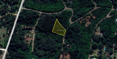 Imagen 3 de 3 de Muy Buen Terreno Con 40m De Frente