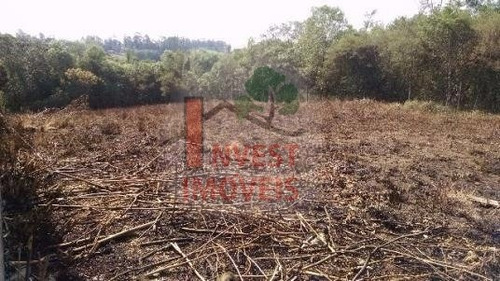 Imagem 5 de 7 de Terreno - Ref: 1312 - V-1312