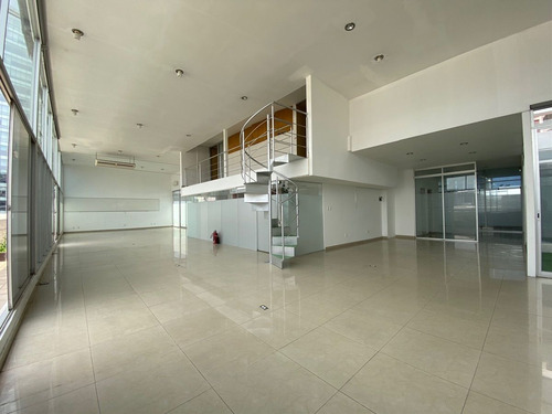 Renta Oficina 600 M2 Ph En Polanco - Horacio