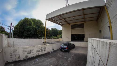 Imagem 18 de 28 de Galpao - Gl00001 - 69828215