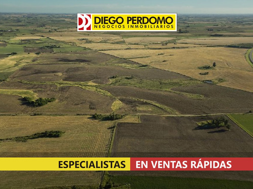Campo De 260 Has En Venta, Libertad