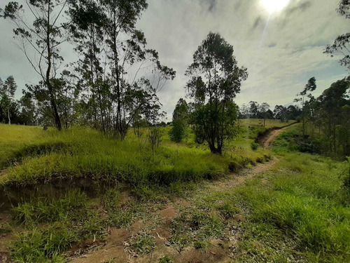Imagem 6 de 13 de Lotes Com Excelente Topografia De 1000² Em São Roque